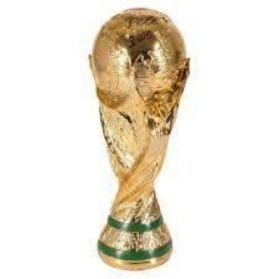 كأس العالم 13 سم