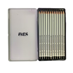 قلم رصاص جرافيك درجات طقم 12 قلم علبة حديد FLEX 3177