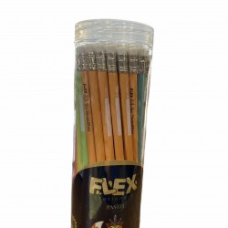 قلم رصاص خشب ملون مع محاية 1/48 علبة بلاستيك FLEX