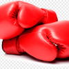 png-transparent-kickboxing-boxing-glove-boxing-rings-muay-thai-boxing-sport-boxing-glove-cross